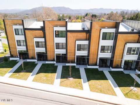 Photo of 1533 Pactolas Road #105, Johnson City, TN 37604 (MLS # 9993207)