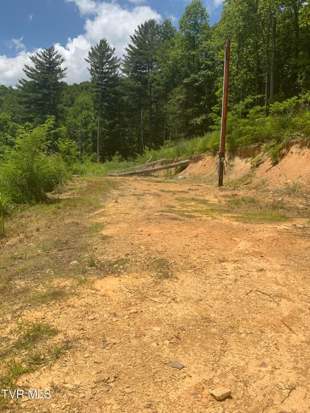 Photo of 5907 Doctor Andrew Jackson Osborne Highway, Blackwater, VA 24221 (MLS # 9996914)