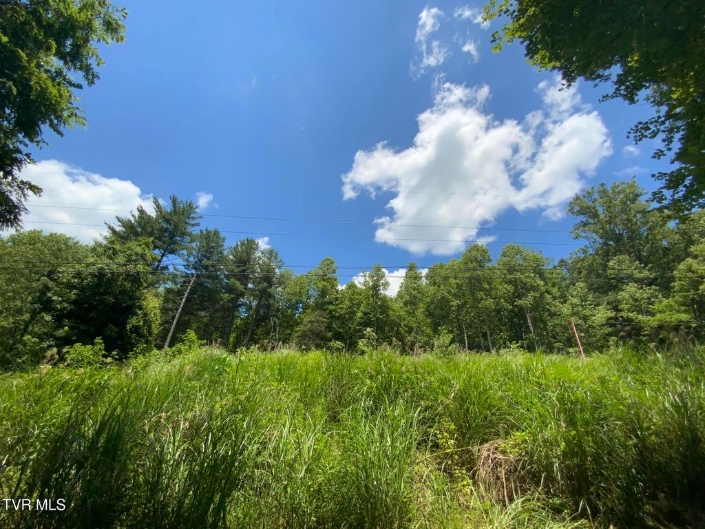 Photo of 5907 Doctor Andrew Jackson Osborne Highway, Blackwater, VA 24221 (MLS # 9996914)