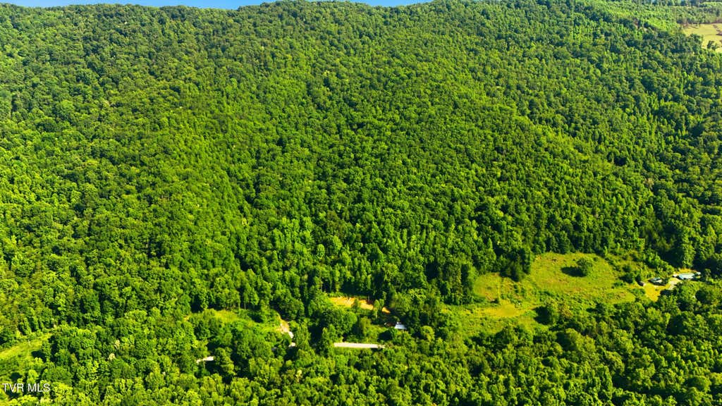 Photo of 5907 Doctor Andrew Jackson Osborne Highway, Blackwater, VA 24221 (MLS # 9996914)
