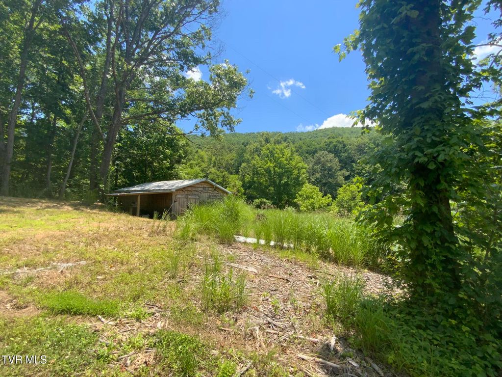 Photo of 5907 Doctor Andrew Jackson Osborne Highway, Blackwater, VA 24221 (MLS # 9996914)