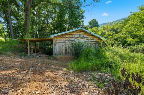 Vacant Land For Sale - 5907 Doctor Andrew Jackson Osborne Highway<br/> Lee County, Blackwater, VA 24221
