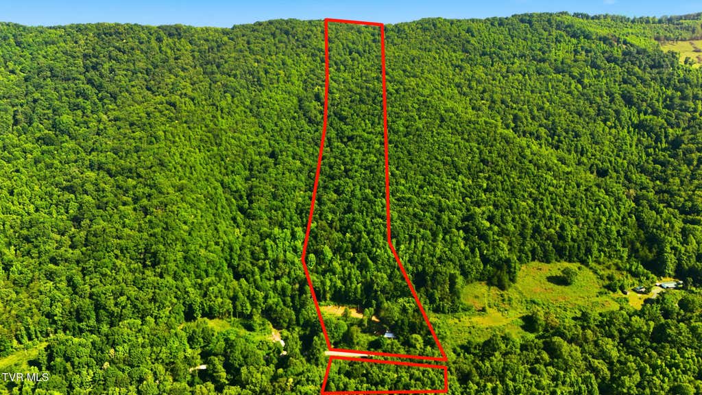 Photo of 5907 Doctor Andrew Jackson Osborne Highway, Blackwater, VA 24221 (MLS # 9996914)