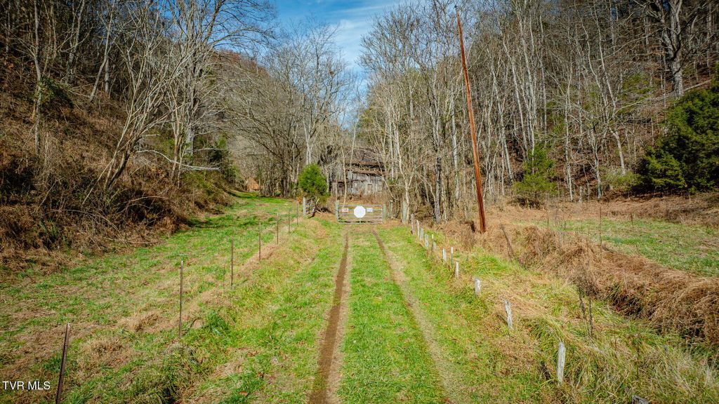 Photo of 1499 Keesel Hollow Road, Bybee, TN 37713 (MLS # 9988960)