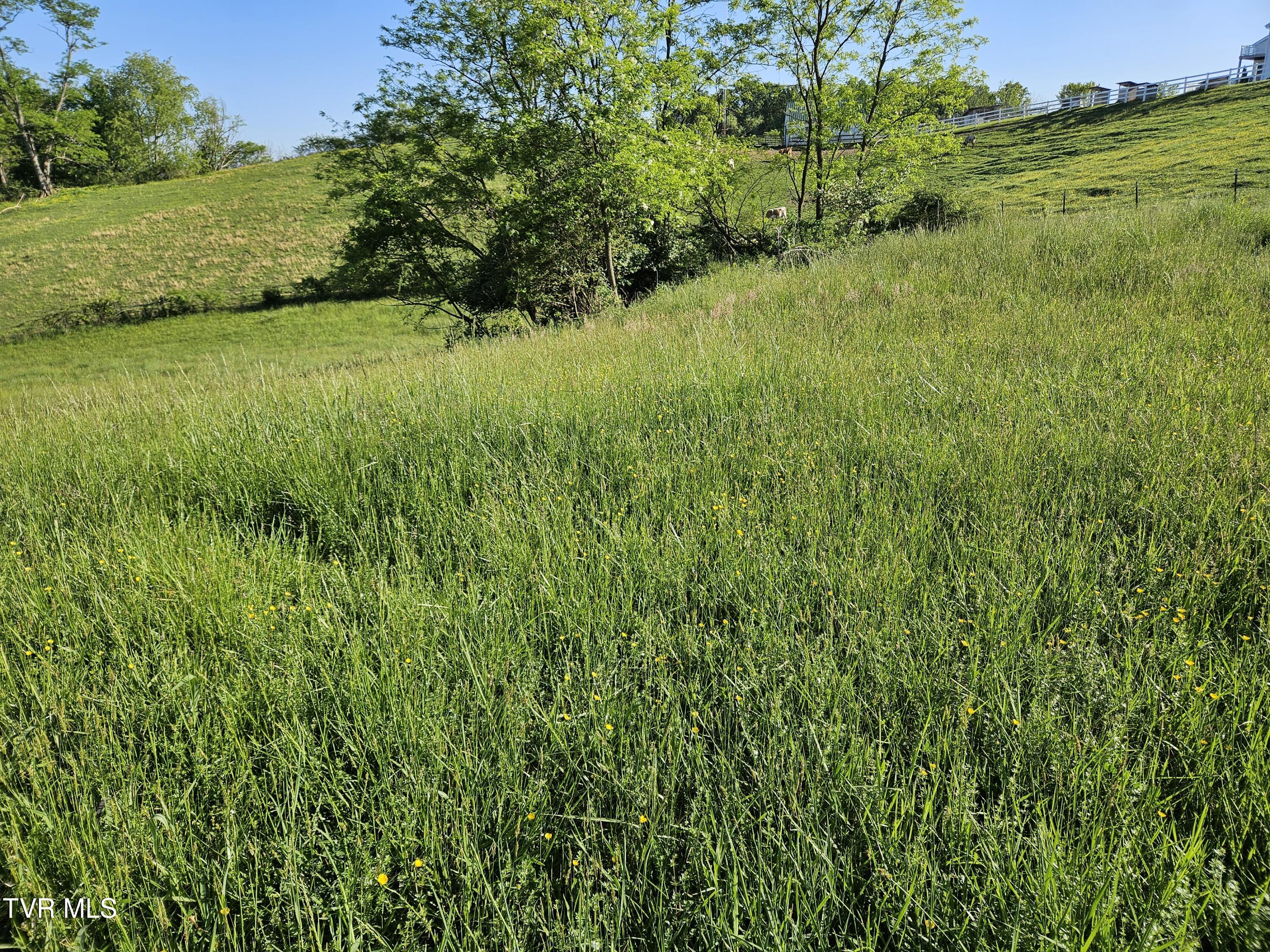 Lot 17-E Tranbarger Road, Bristol, Virginia image 6