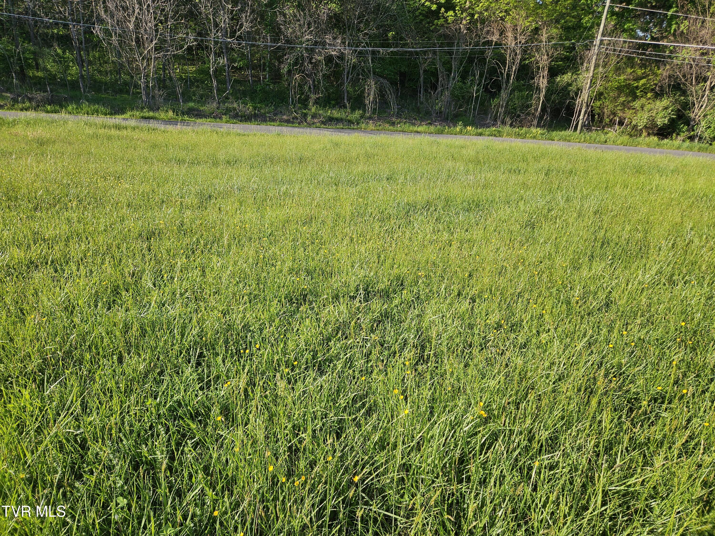 Lot 17-E Tranbarger Road, Bristol, Virginia image 9