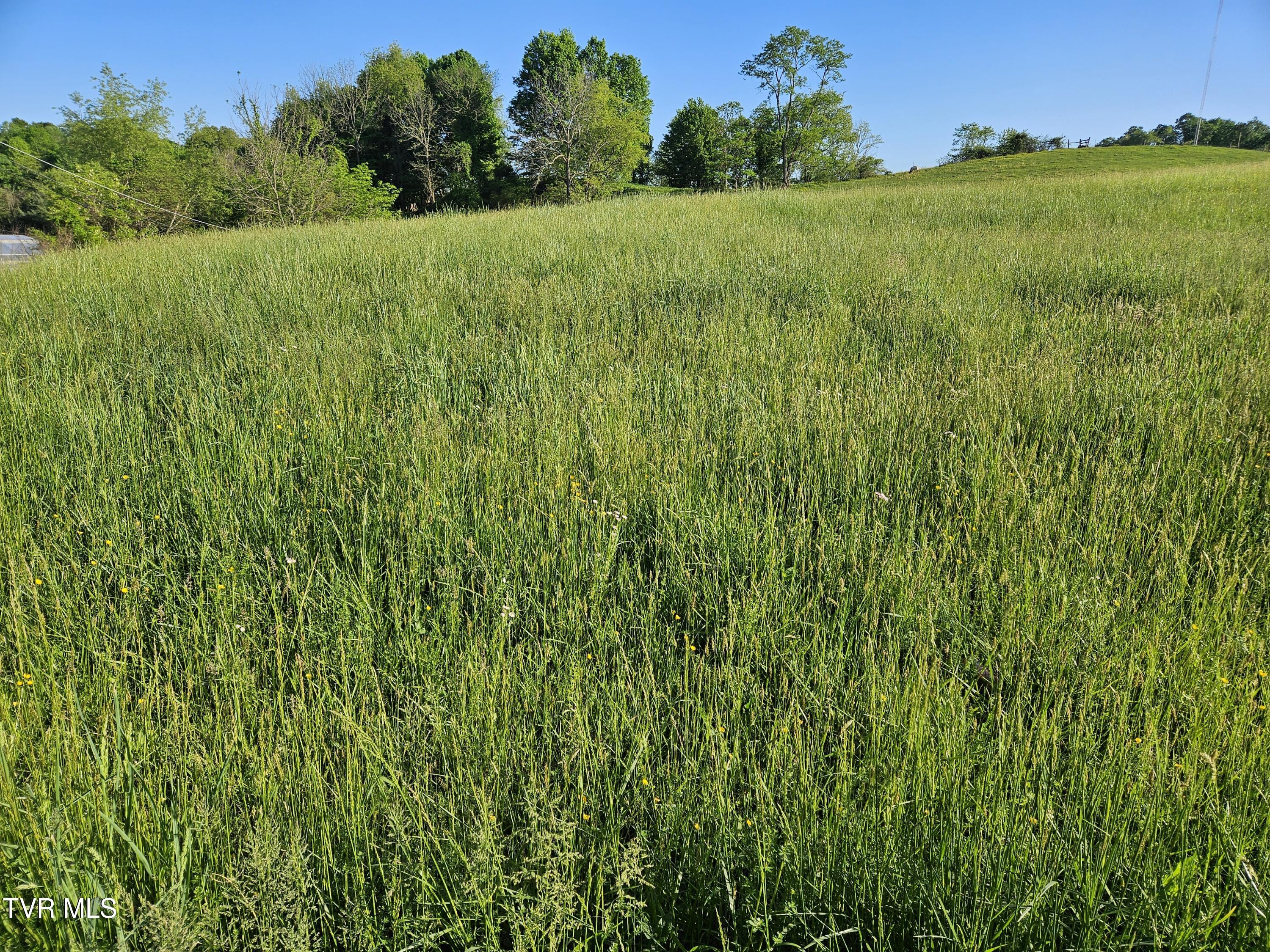 Lot 17-E Tranbarger Road, Bristol, Virginia image 1
