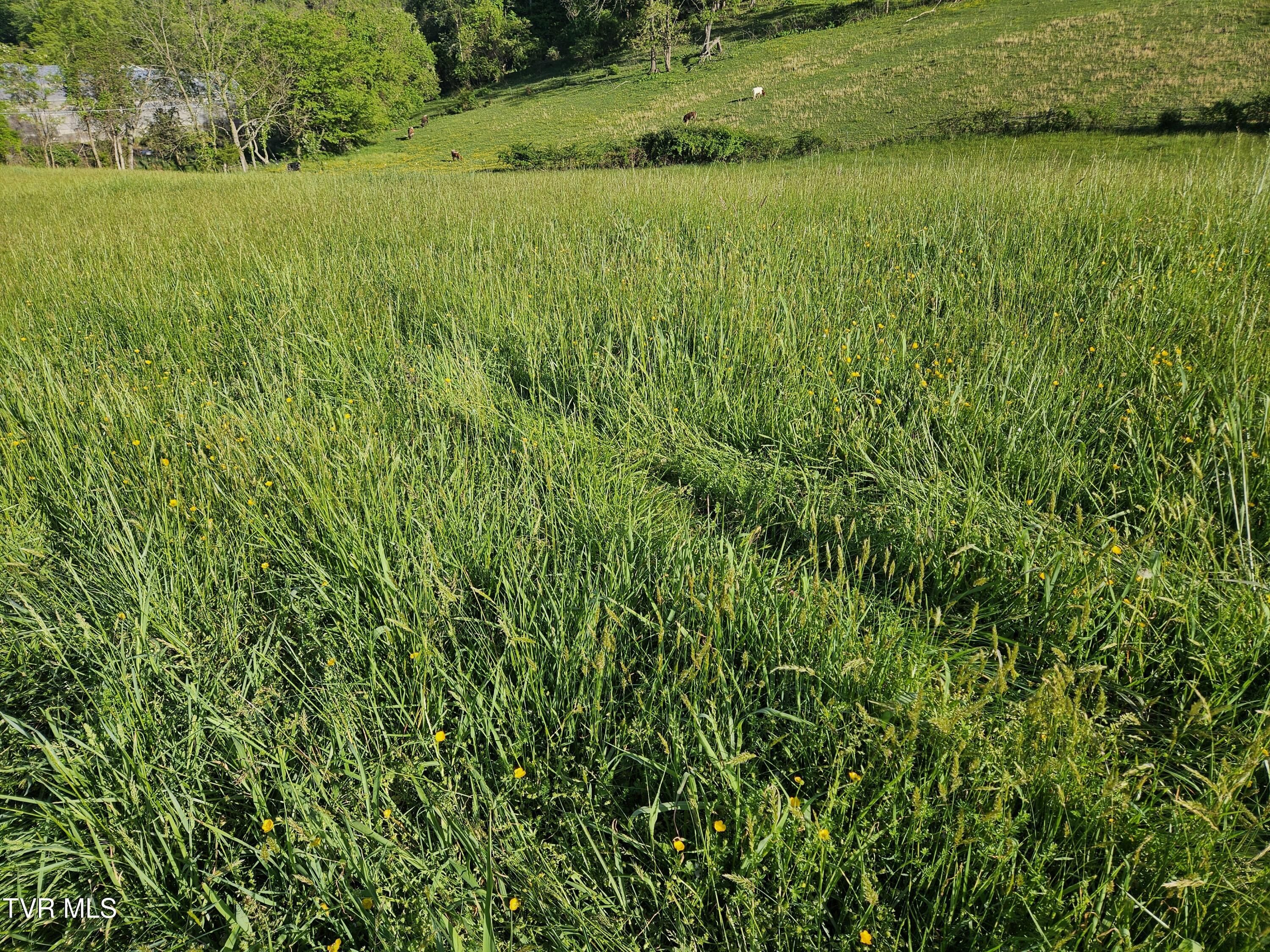 Lot 17-E Tranbarger Road, Bristol, Virginia image 7