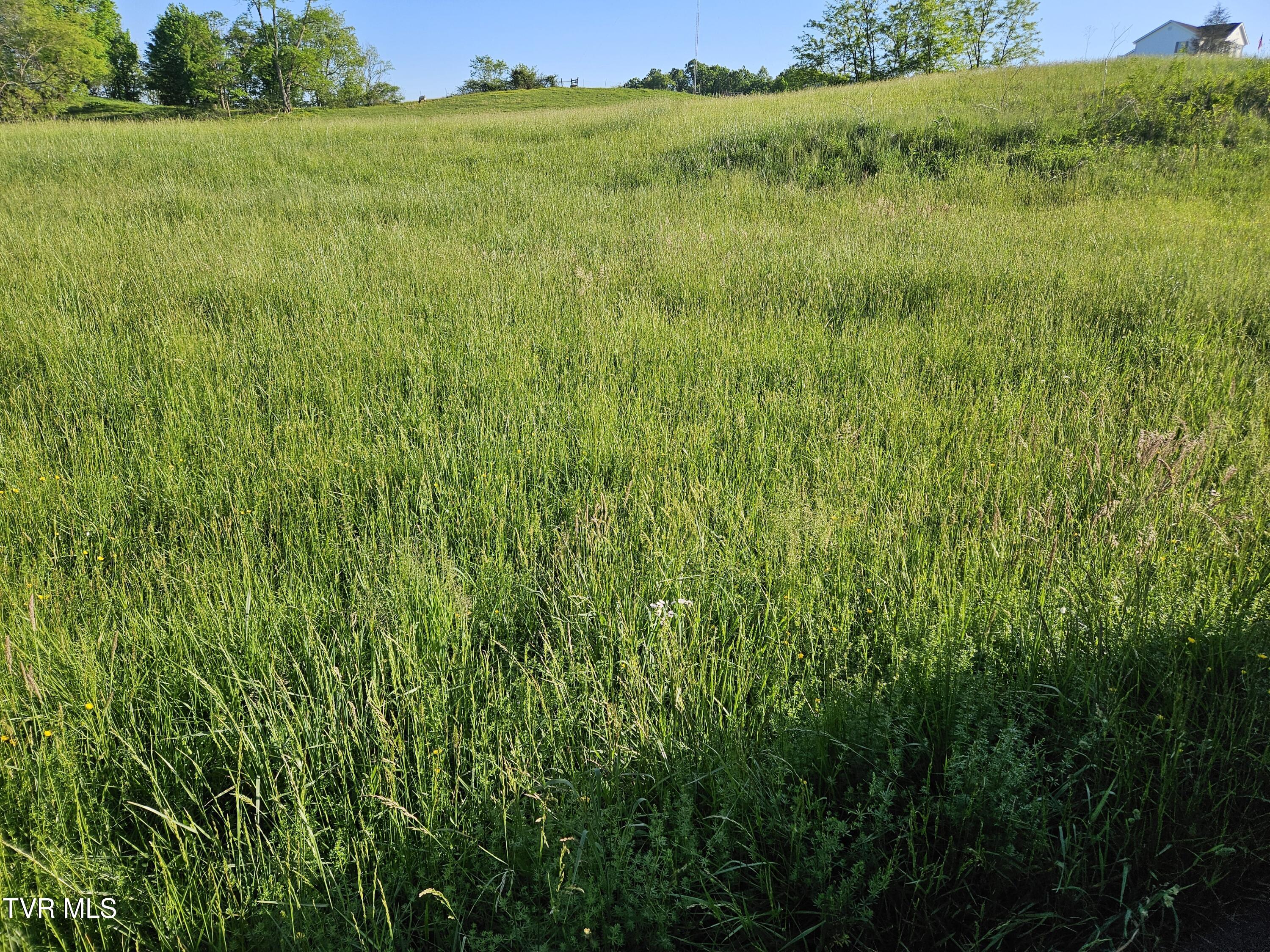 Lot 17-E Tranbarger Road, Bristol, Virginia image 10