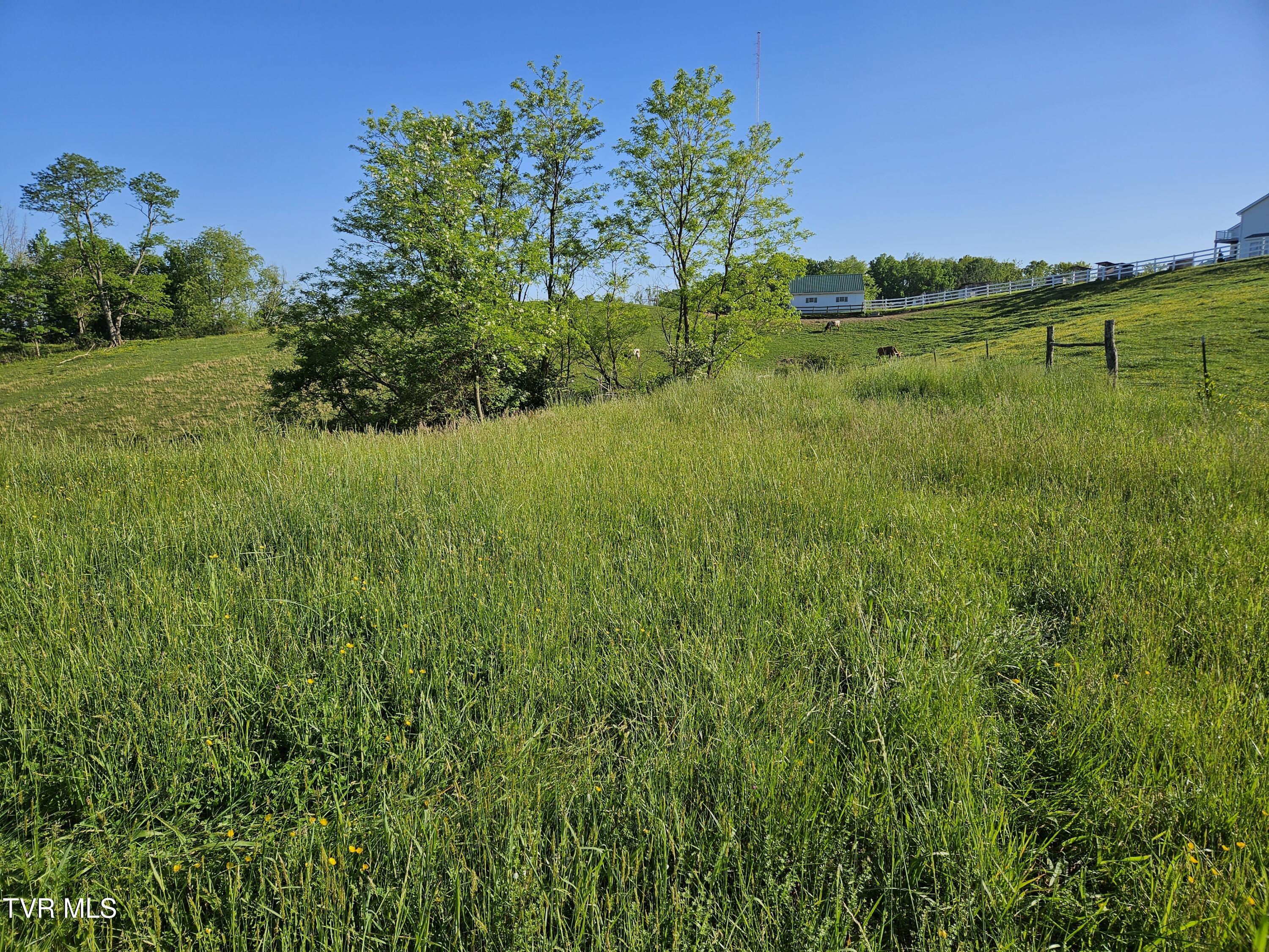 Lot 17-E Tranbarger Road, Bristol, Virginia image 8