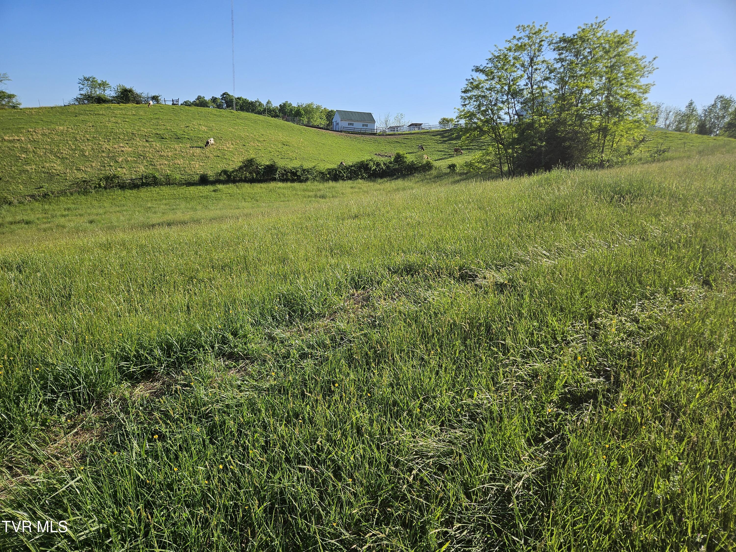 Lot 17-E Tranbarger Road, Bristol, Virginia image 2
