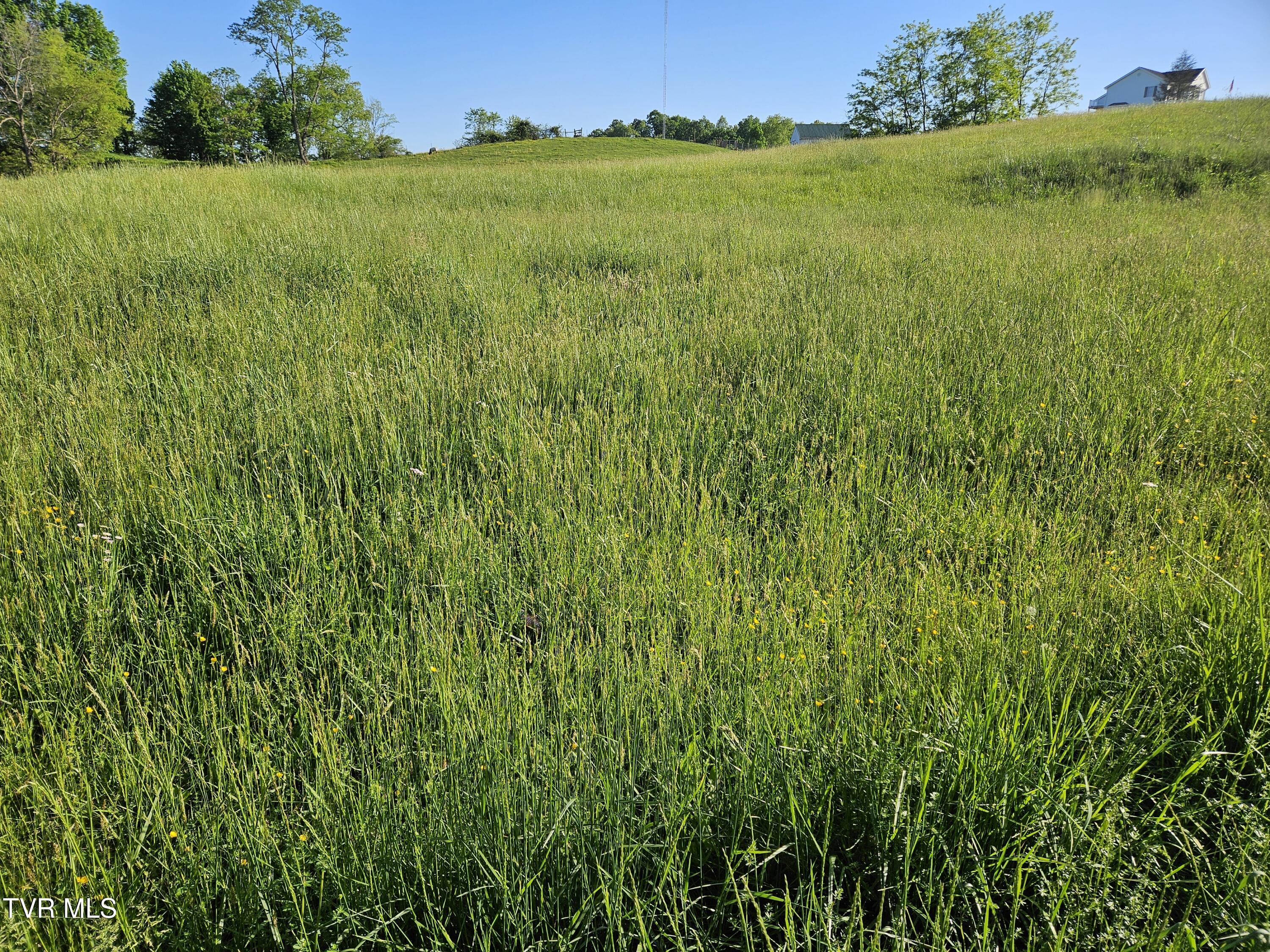 Lot 17-E Tranbarger Road, Bristol, Virginia image 3