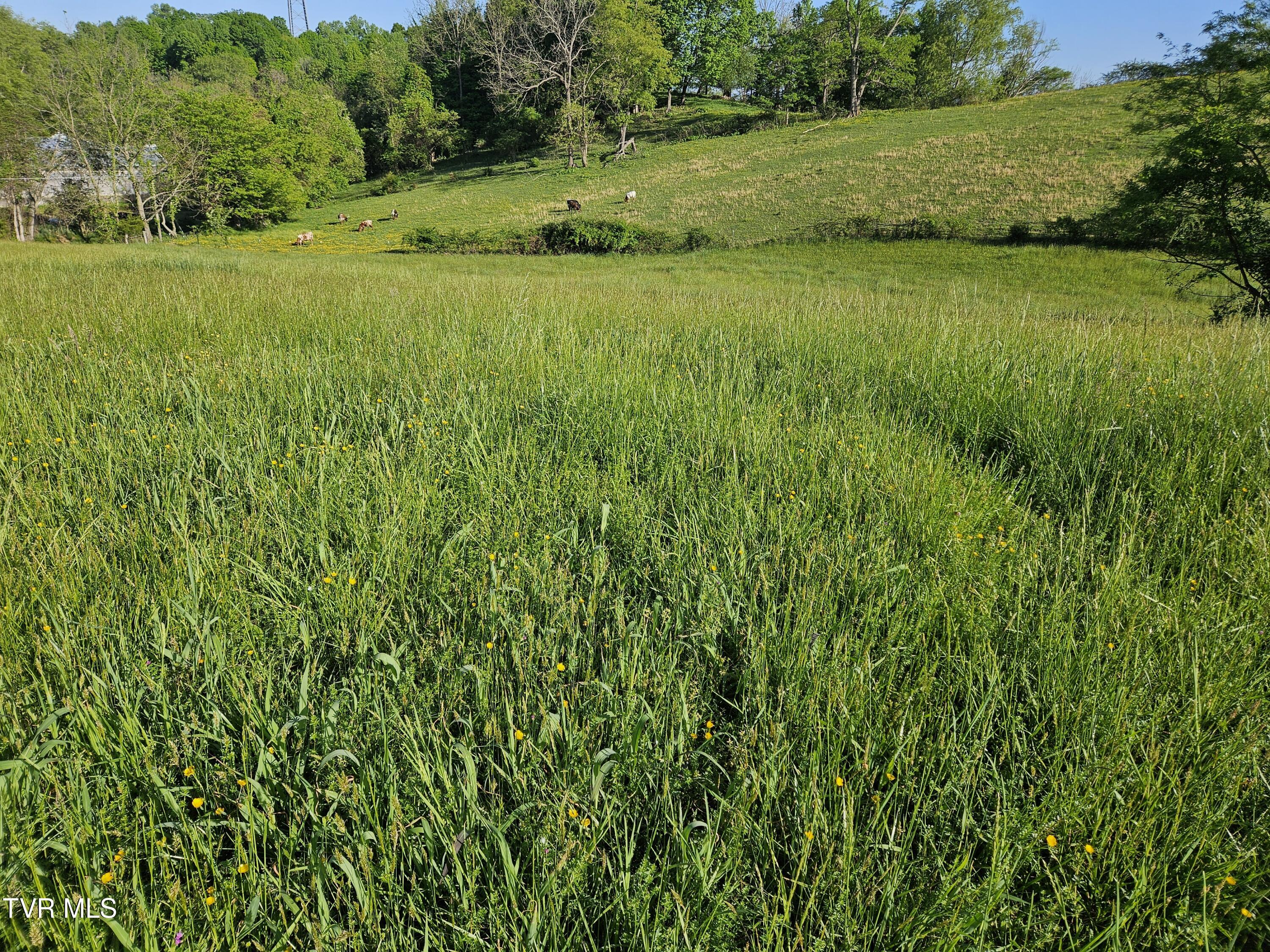 Lot 17-E Tranbarger Road, Bristol, Virginia image 5