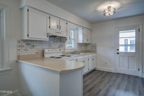 Tiny photo for 715 Ohio Avenue, Erwin, TN 37650 (MLS # 9984471)