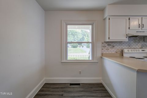 Tiny photo for 715 Ohio Avenue, Erwin, TN 37650 (MLS # 9984471)