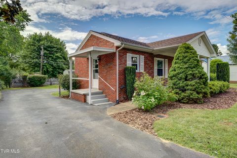 Tiny photo for 715 Ohio Avenue, Erwin, TN 37650 (MLS # 9984471)