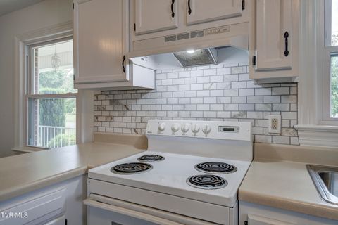 Tiny photo for 715 Ohio Avenue, Erwin, TN 37650 (MLS # 9984471)