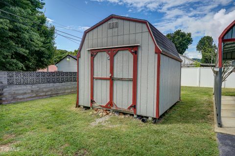 Tiny photo for 715 Ohio Avenue, Erwin, TN 37650 (MLS # 9984471)