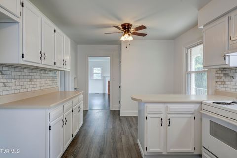 Tiny photo for 715 Ohio Avenue, Erwin, TN 37650 (MLS # 9984471)