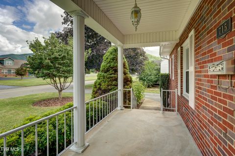 Tiny photo for 715 Ohio Avenue, Erwin, TN 37650 (MLS # 9984471)