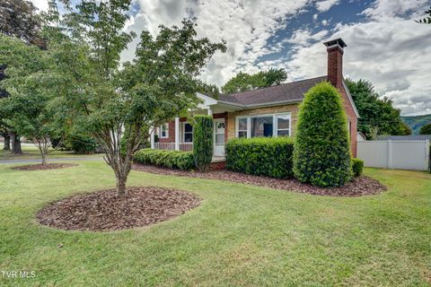 Tiny photo for 715 Ohio Avenue, Erwin, TN 37650 (MLS # 9984471)