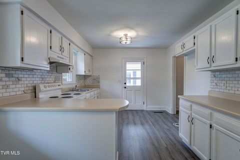 Tiny photo for 715 Ohio Avenue, Erwin, TN 37650 (MLS # 9984471)
