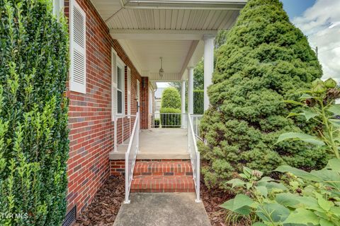 Tiny photo for 715 Ohio Avenue, Erwin, TN 37650 (MLS # 9984471)