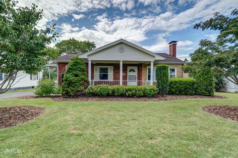Tiny photo for 715 Ohio Avenue, Erwin, TN 37650 (MLS # 9984471)