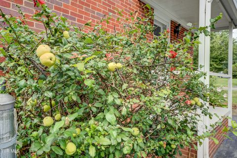 Tiny photo for 715 Ohio Avenue, Erwin, TN 37650 (MLS # 9984471)