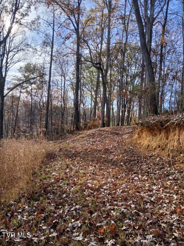 1021 Marbleton Road, Unicoi, Tennessee image 10