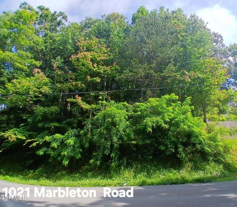 Vacant Land For Sale - 1021 Marbleton Road<br/> Unicoi County, Unicoi, TN 37692