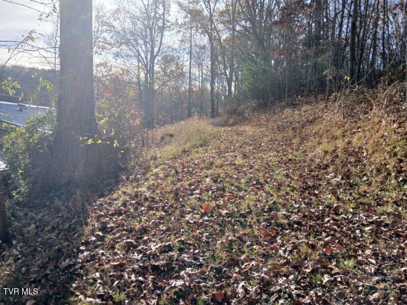 1021 Marbleton Road, Unicoi, Tennessee image 13