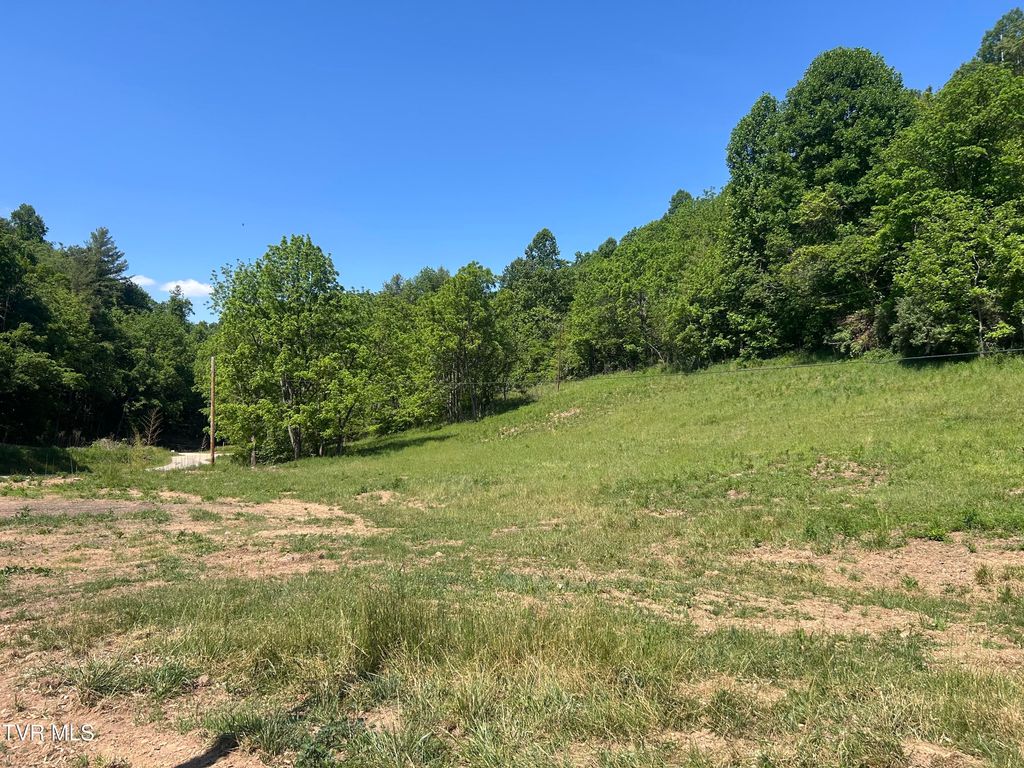 Photo of 1684 Draft Road, Butler, TN 37640 (MLS # 9995911)