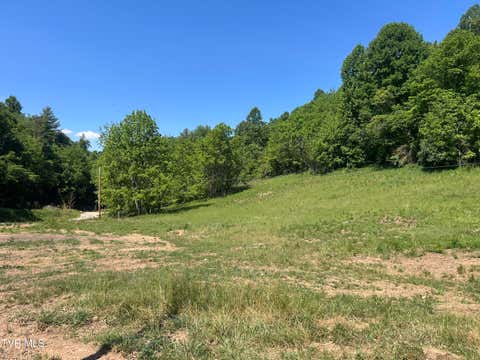Vacant Land For Sale - 1684 Draft Road<br/> Butler, TN 37640