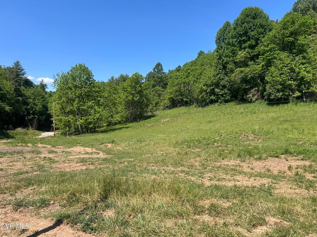 Photo of 1684 Draft Road, Butler, TN 37640 (MLS # 9995911)