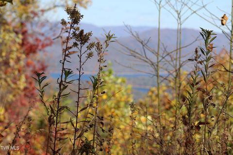 Vacant Land For Sale - 48 Locust Lane<br/> Butler, TN 37640