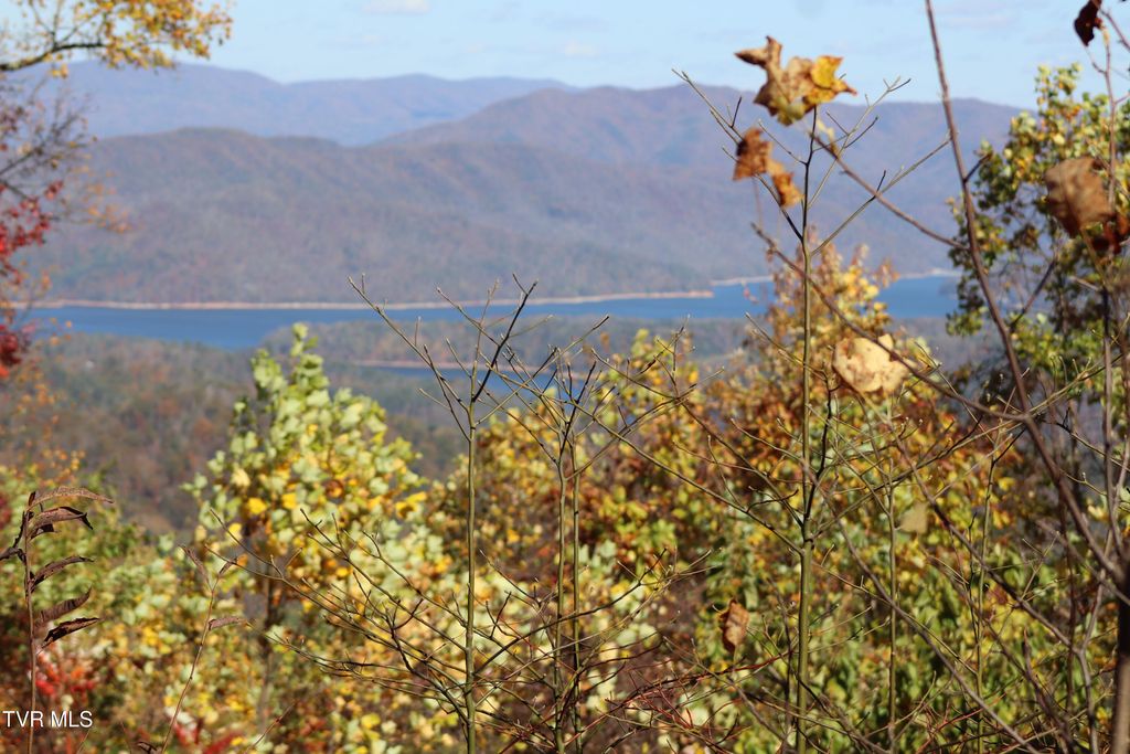 Photo of 48 Locust Lane, Butler, TN 37640 (MLS # 9987616)