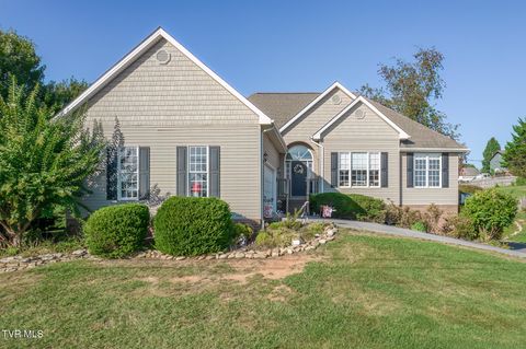 Photo of 589 Walkers Bend Road, Gray, TN 37615 (MLS # 9986472)