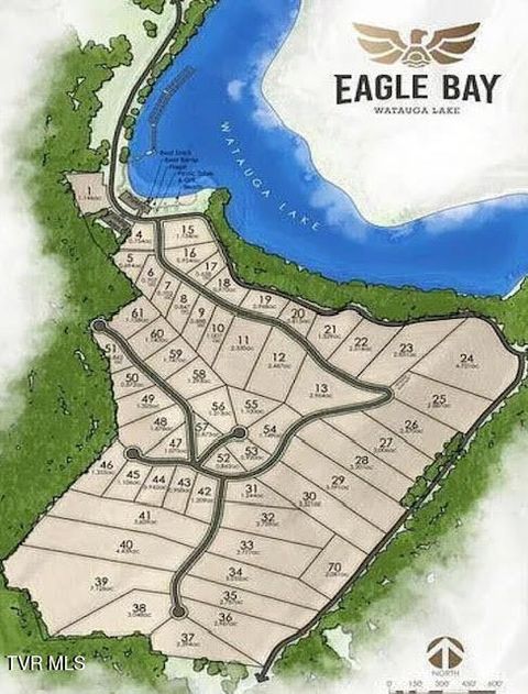 Vacant Land For Sale - TR 40 Cowan Town Road<br/> Johnson County, Butler, TN 37640