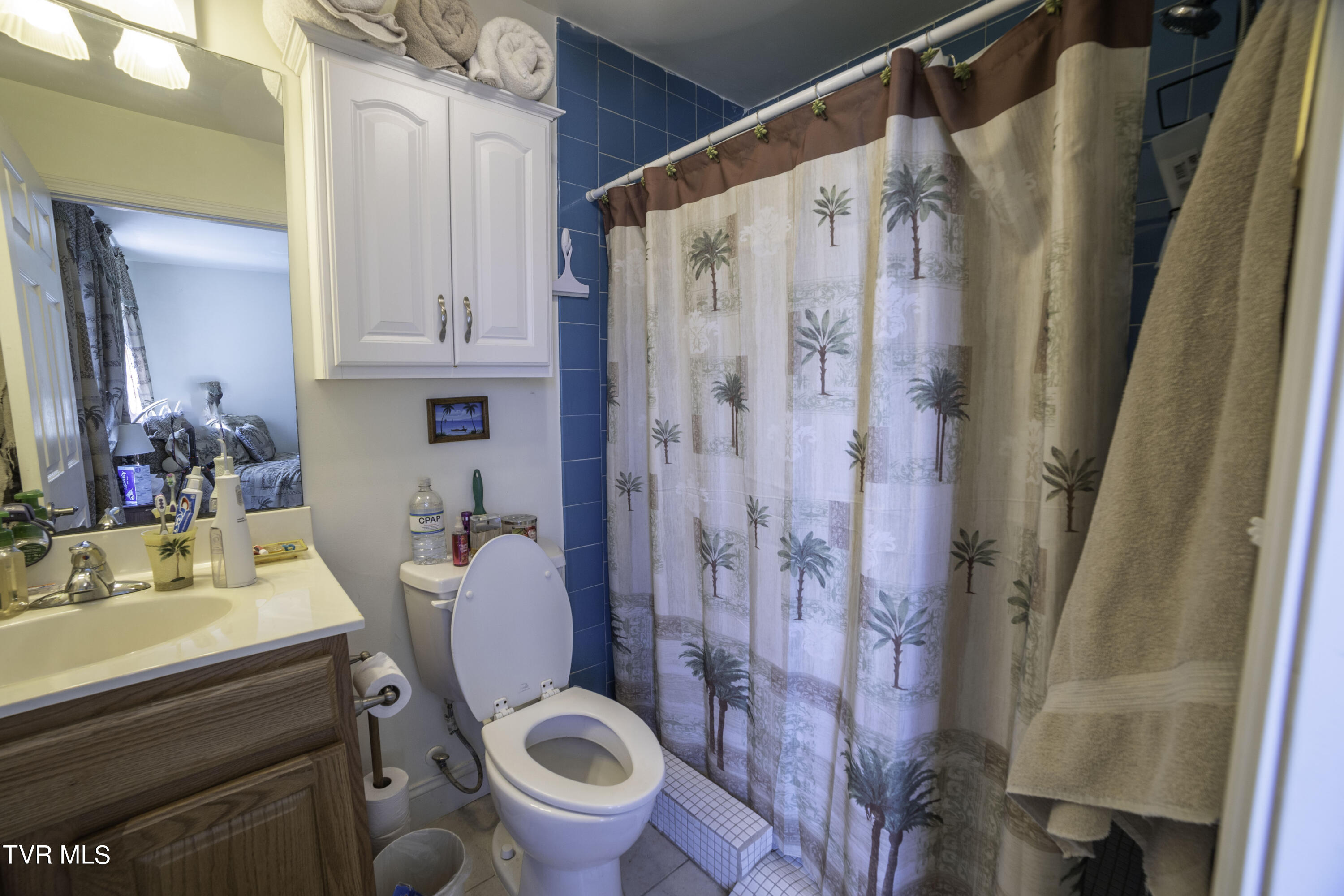 106 Matthews Mill Road, Telford, Tennessee image 7