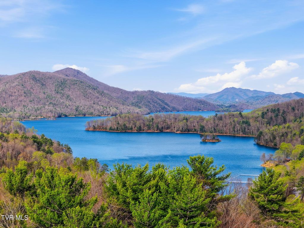 Photo of 1570 U.S. 321, Hampton, TN 37658 (MLS # 9993849)