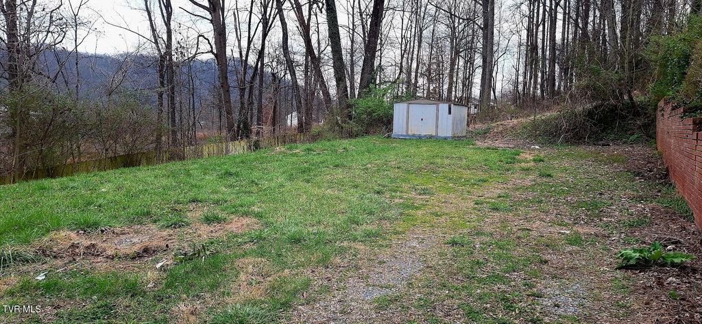 Photo of 214 Stafford Street, Bristol, TN 37620 (MLS # 9992694)