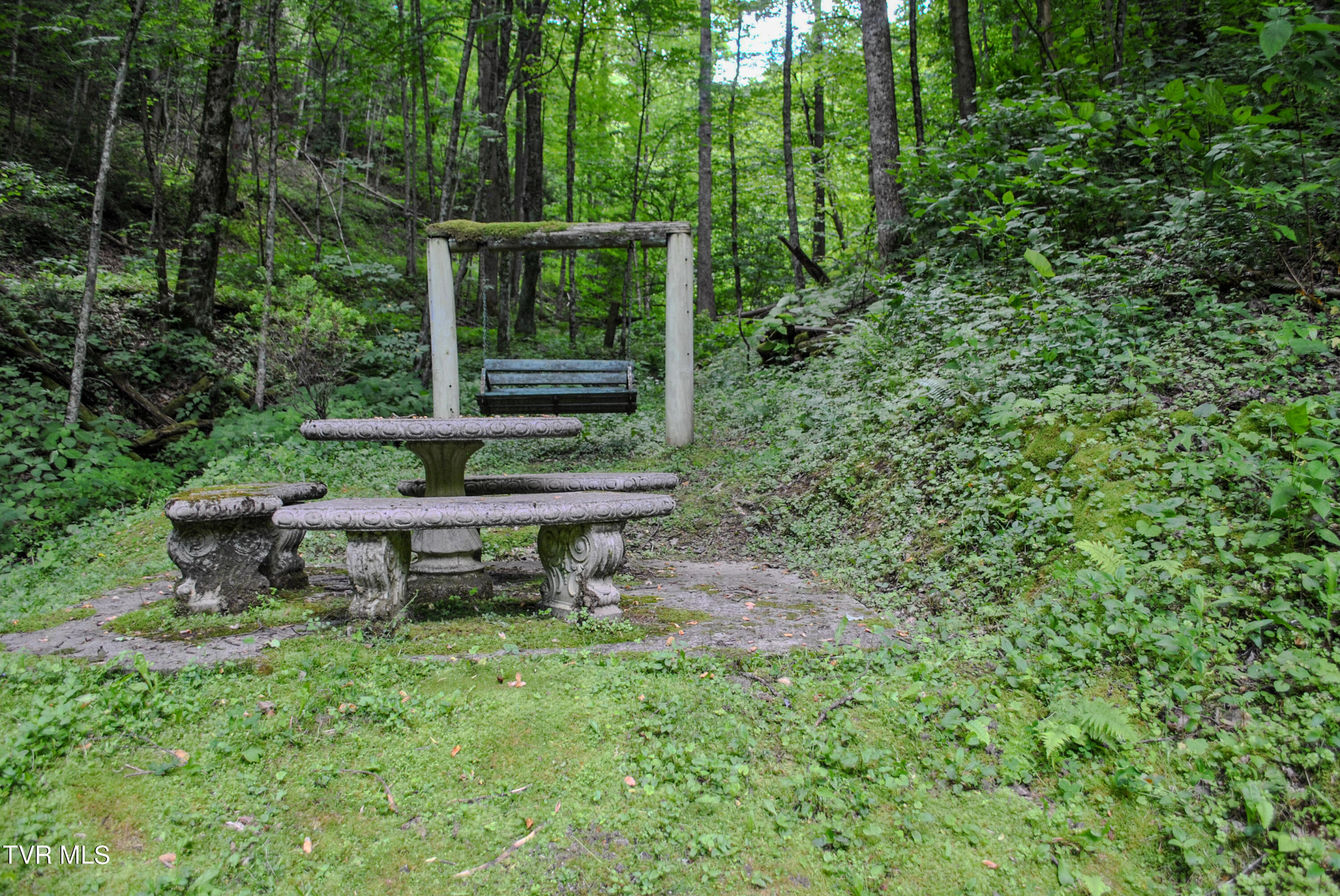3655 Highway 107, Unicoi, Tennessee image 5