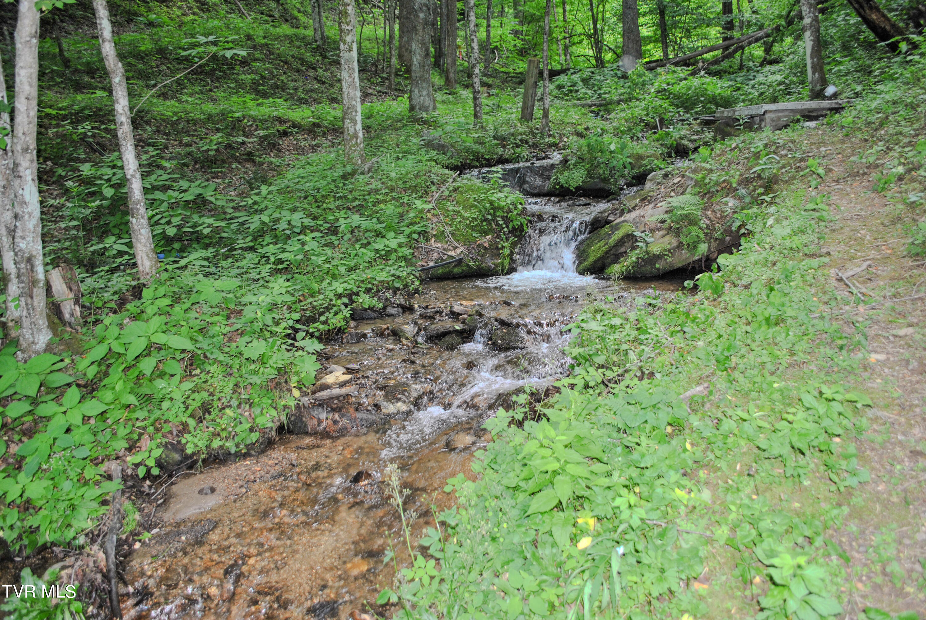 3655 Highway 107, Unicoi, Tennessee image 4