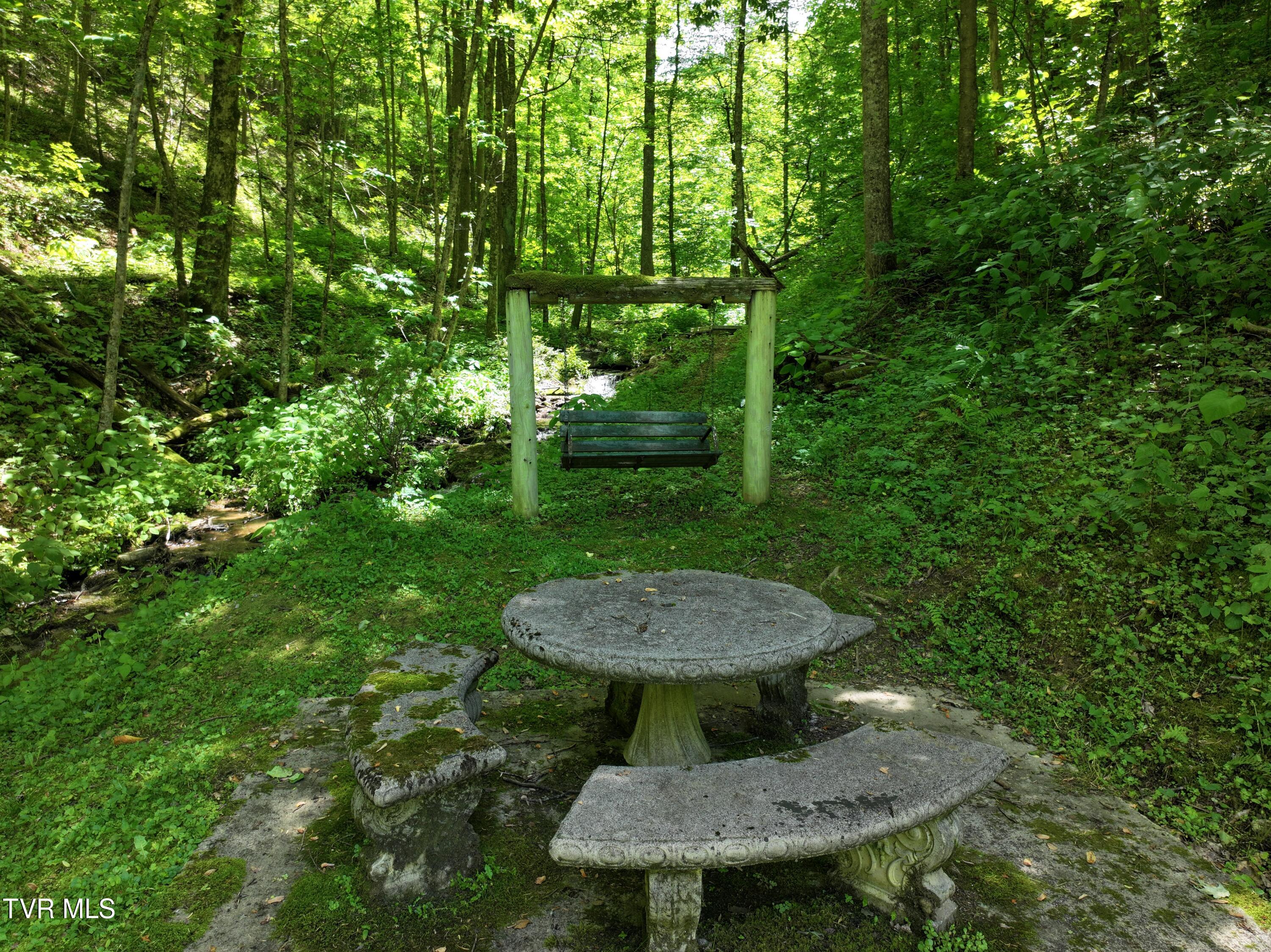 3655 Highway 107, Unicoi, Tennessee image 8
