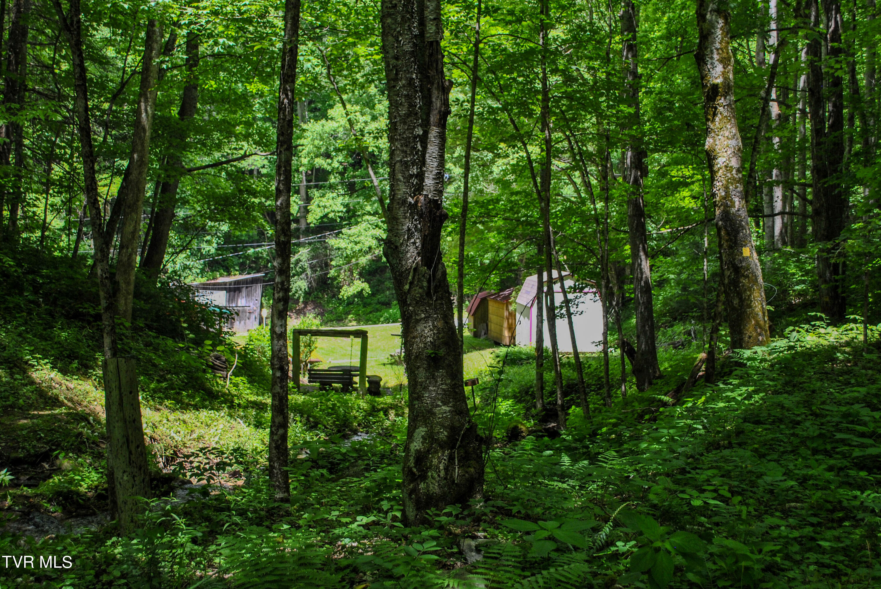 3655 Highway 107, Unicoi, Tennessee image 31