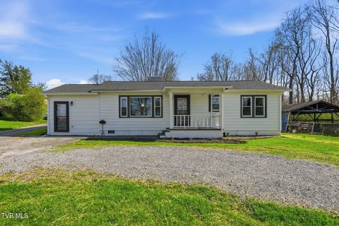 Photo of 291 Cedar Grove Road, Johnson City, TN 37601 (MLS # 9993283)