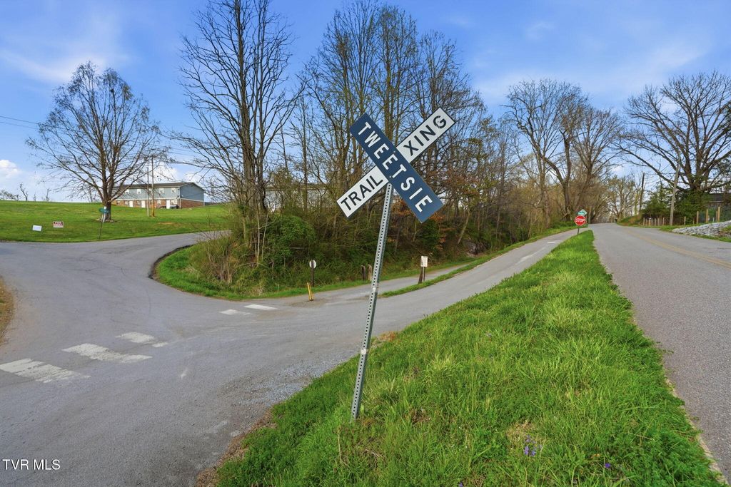 Photo of 291 Cedar Grove Road, Johnson City, TN 37601 (MLS # 9993283)