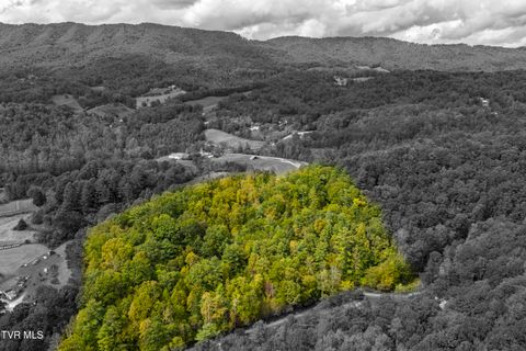 Vacant Land For Sale - TBD Tolley Road<br/> Unicoi County, Unicoi, TN 37692
