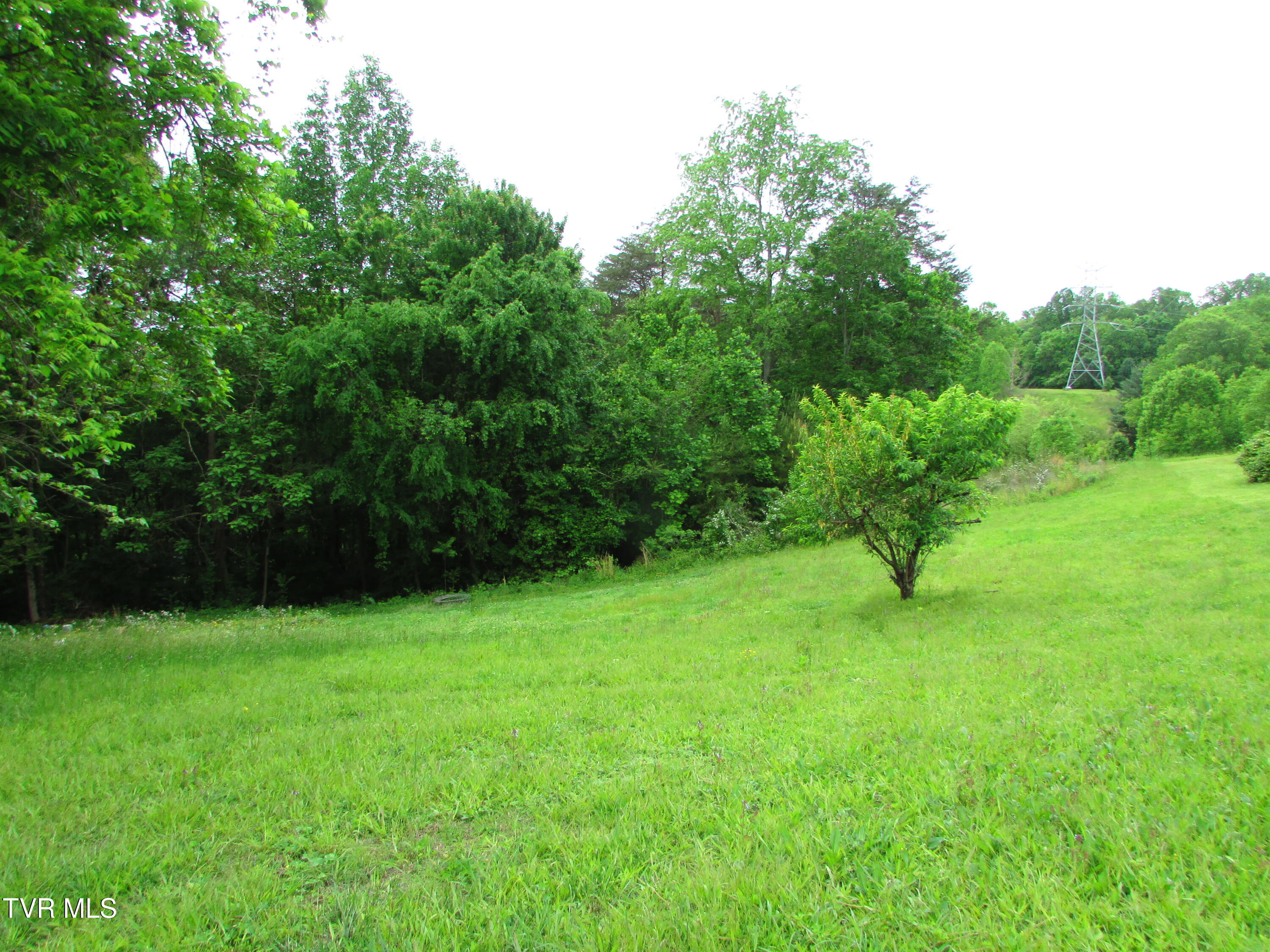 Tbd Redwood Drive, Elizabethton, Tennessee image 5